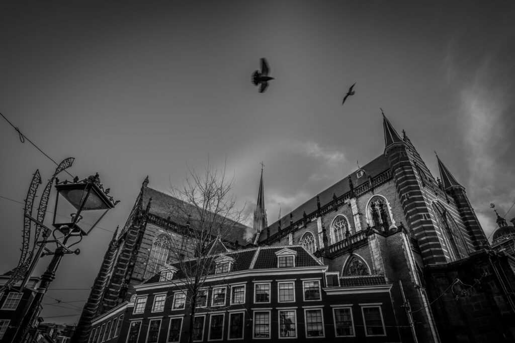 NicoSchnell-Amsterdam-2