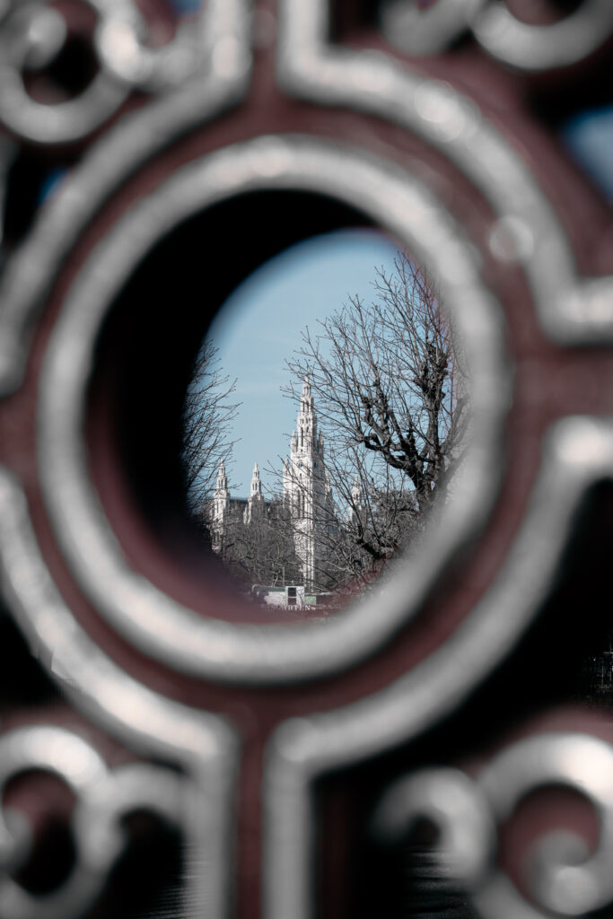 NicoSchnell-Vienna-1